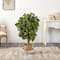 4ft. Schefflera Artificial Tree in Boho Chic Handmade Cotton & Jute White Woven Planter (Real Touch)
